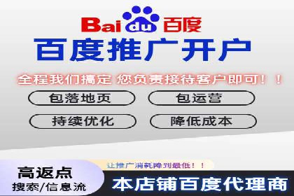 揭秘sem竞价代运营的成功要素及案例